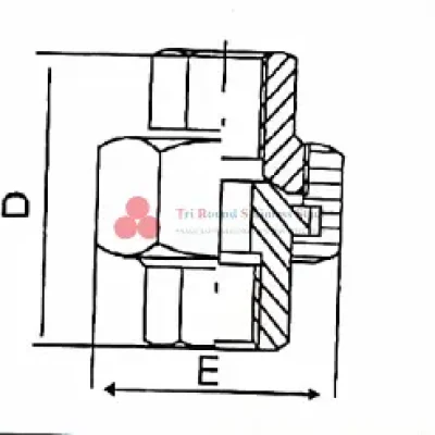 12-1fea0798