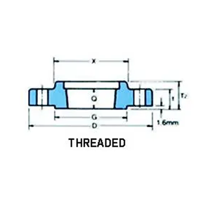 Threaded flange-304TP317L2